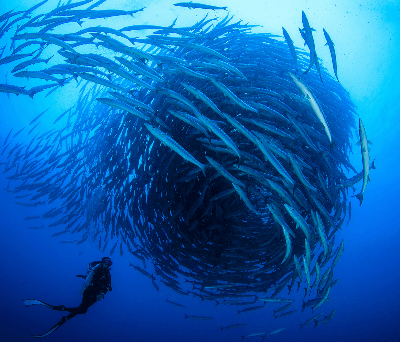 Coral Reef Economy report